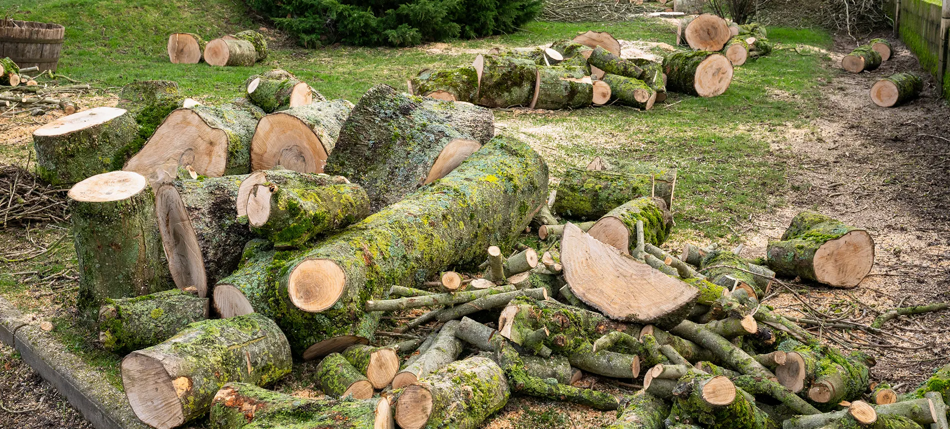 Tronc d'arbre débité en petits morceaux près d'une habitation, abattage sécurisé par Voegel Élagage dans le Bas-Rhin